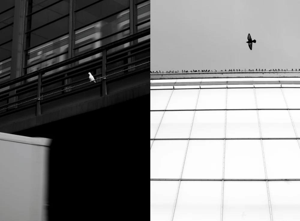 dlaczego wybrałem czarnobiała fotografie, czarnobiala fotografia poczatki