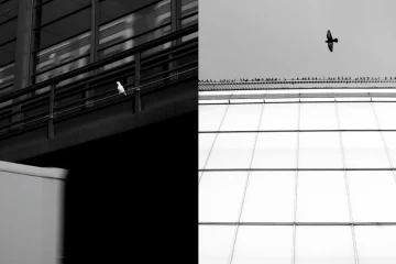 dlaczego wybrałem czarnobiała fotografie, czarnobiala fotografia poczatki